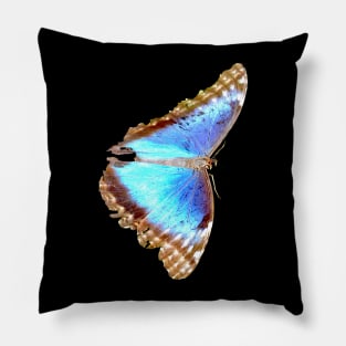 Morpho Butterfly on black Pillow