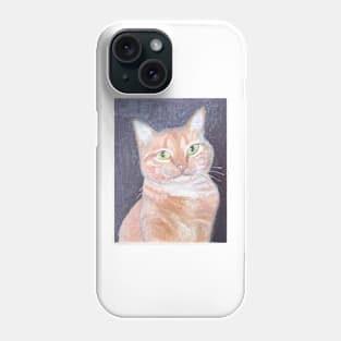 Cat named Cheddar Phone Case