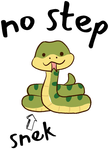 No Step Kids T-Shirt by Spatski