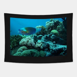 RED SEA MARINE LIFE Tapestry