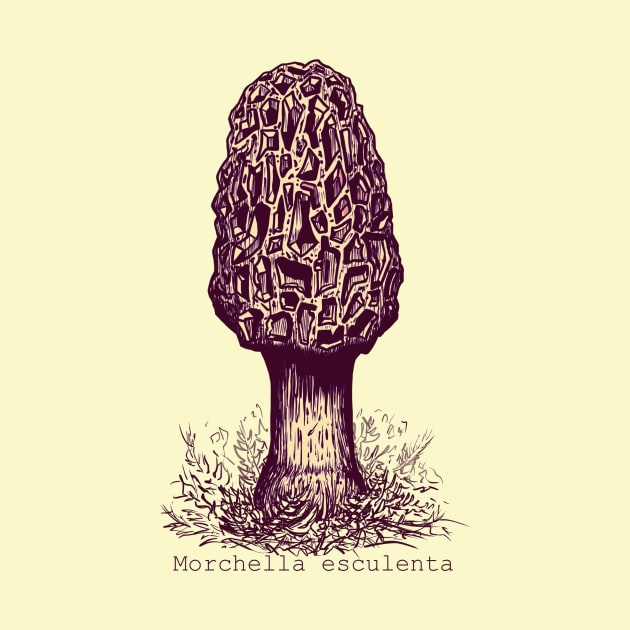 Morel Mushroom in Sepia Tone by MSerido