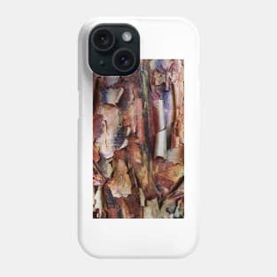 Natural Abstract (paperbark maple tree detail) Phone Case