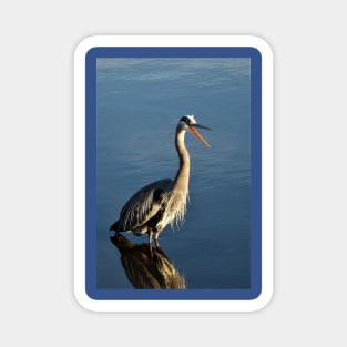 Great Blue Heron Magnet