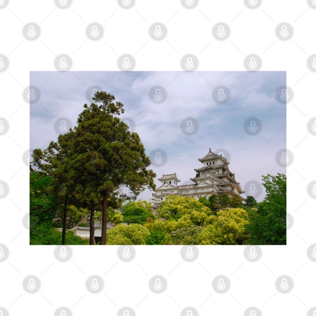 Castle at Hiimeji With Trees, Kansai, Japan by jojobob