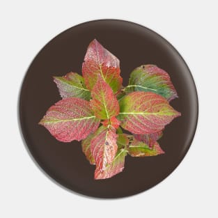 Red leaves Pin