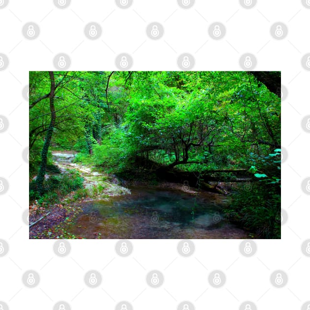 Scenery in Sarnano near Pozze dell'Acquasanta with water, trunks, foliage, sunlight by KristinaDrozd