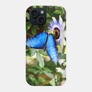 Schmetterling Morphofalter / Swiss Artwork Photography Phone Case