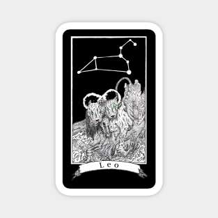 Leo - The Zodiac Retrograde Magnet