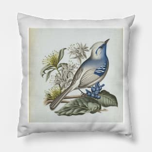 Vintage bird Pillow