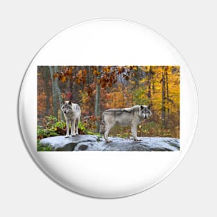 Timber Wolves Pin