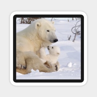 Mother polar bear & cub Magnet