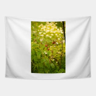 blb red raspberry - 2 Tapestry