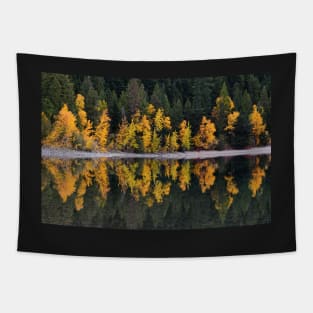 Autumn Reflections Tapestry