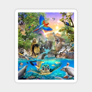 Underwater African Animal Animals Scene Magnet