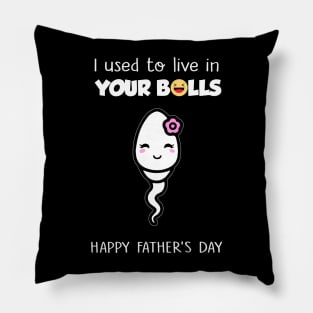 I Used To Live In Your Balls Funny Daughter Happy Father's Day Pillow