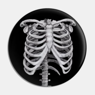 Ribs Sketch - Anatomy Drawing - Skeleton Pin