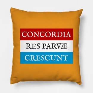 Concordia res parvae crescunt Pillow