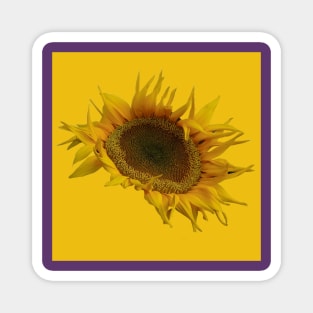 Sunflower Magnet