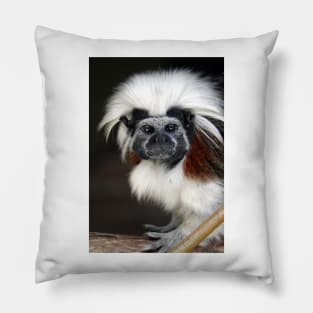 Cotton-top Tamarin Pillow