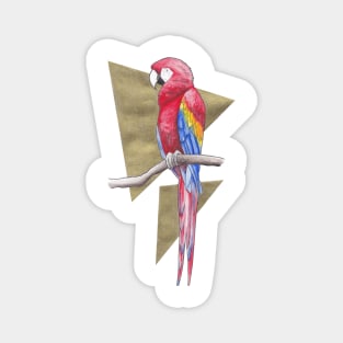 Scarlet Macaw Magnet