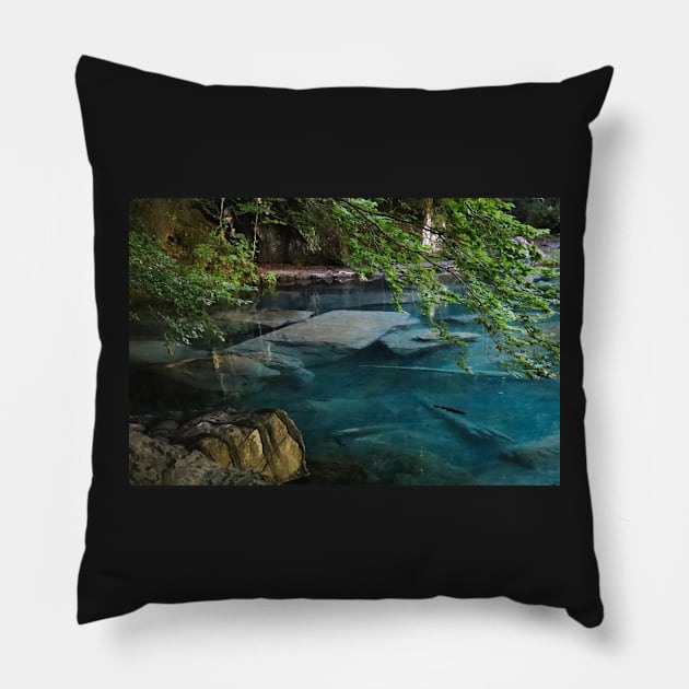 Switzerland - Blausee Pillow by AnimaliaArt