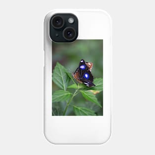 Common Eggfly and Friend Phone Case