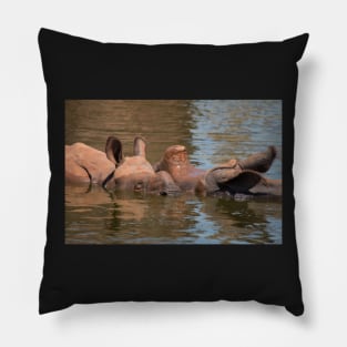 Mother and Daughter Pillow