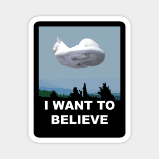 I Want To Believe. Magnet