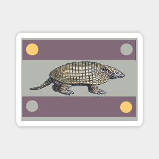 Armadillo Magnet