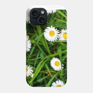Daisies, spring flowers full of tenderness and beauty Phone Case