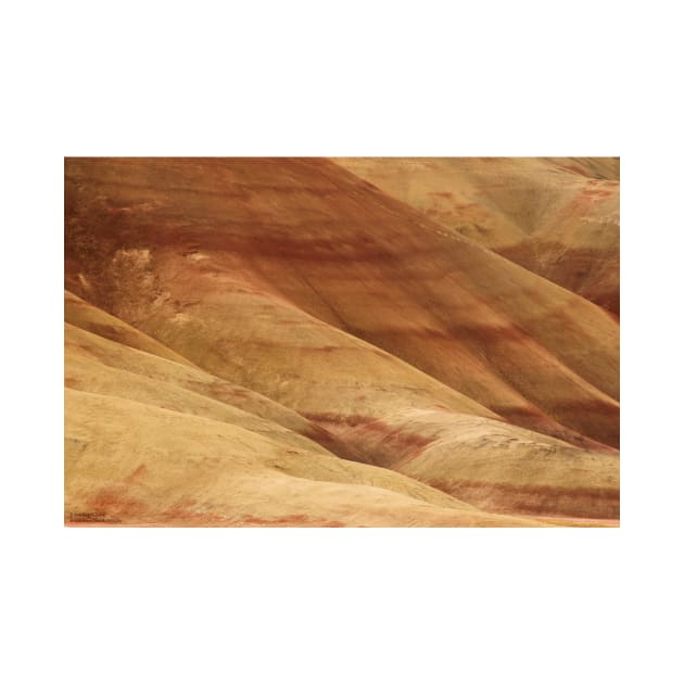 Painted Hills - Up Close And Personal - 1 © by PrinceJohn