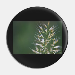 Grass Seeds Pin