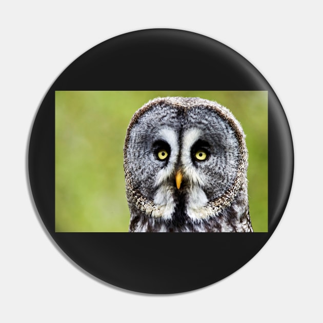 Great Gray Owl Pin by richard49