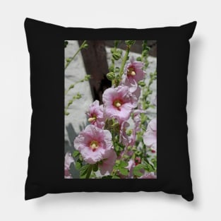 Hollyhocks Pillow