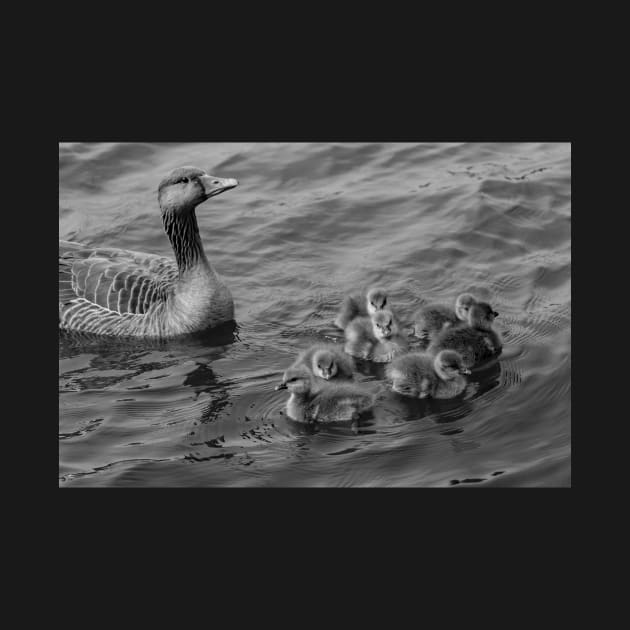 Mother goose by yackers1