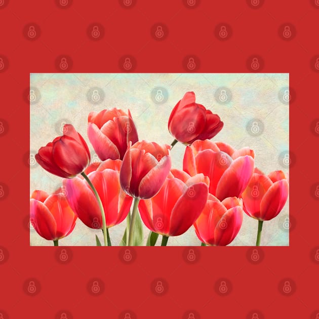 Ruby Red Tulips by lauradyoung