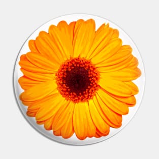 Cheerful Yellow Gerbera Daisy Pin