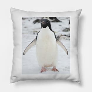 An Adelie penguin, from Antartica Pillow