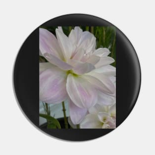 White Dahlia Pin