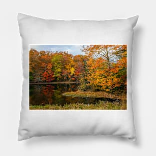 Autumn Pond Reflections Pillow