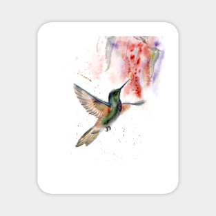 Watercolor Hummingbird with red flower Magnet