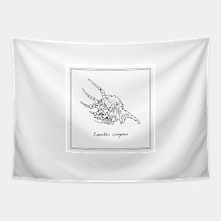 Lambis Scorpius. Seashell. Retro style illustration. Tapestry