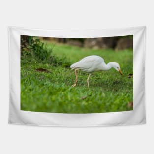 Cattle Egret 3 Tapestry