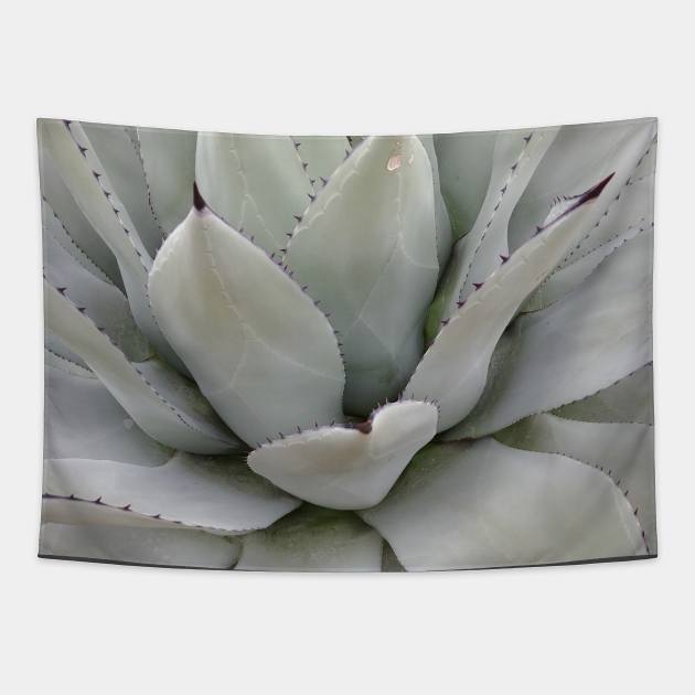 Gray Agave Plant Tapestry by SpillProofLiquid