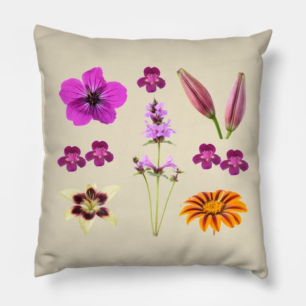 Assorted flowers Pillow by chrisburrows