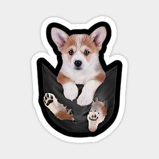 Corgi with love Magnet