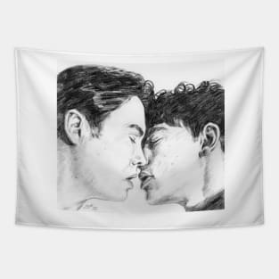 Heartstopper Kiss Tapestry