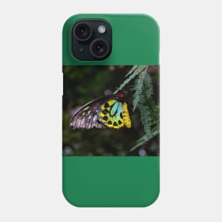 Cairns Birdwing Butterfly Phone Case