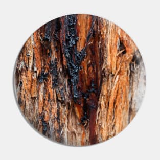 Vibrant Tree Oozing Sap From Trunk - Alternative III Pin