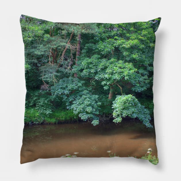 River Almond Pillow by tomg